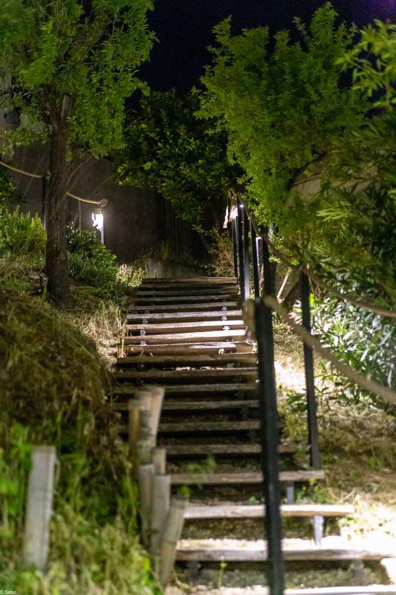  place for rent with private swimming pool on Corfu